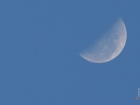 The Moon - blue